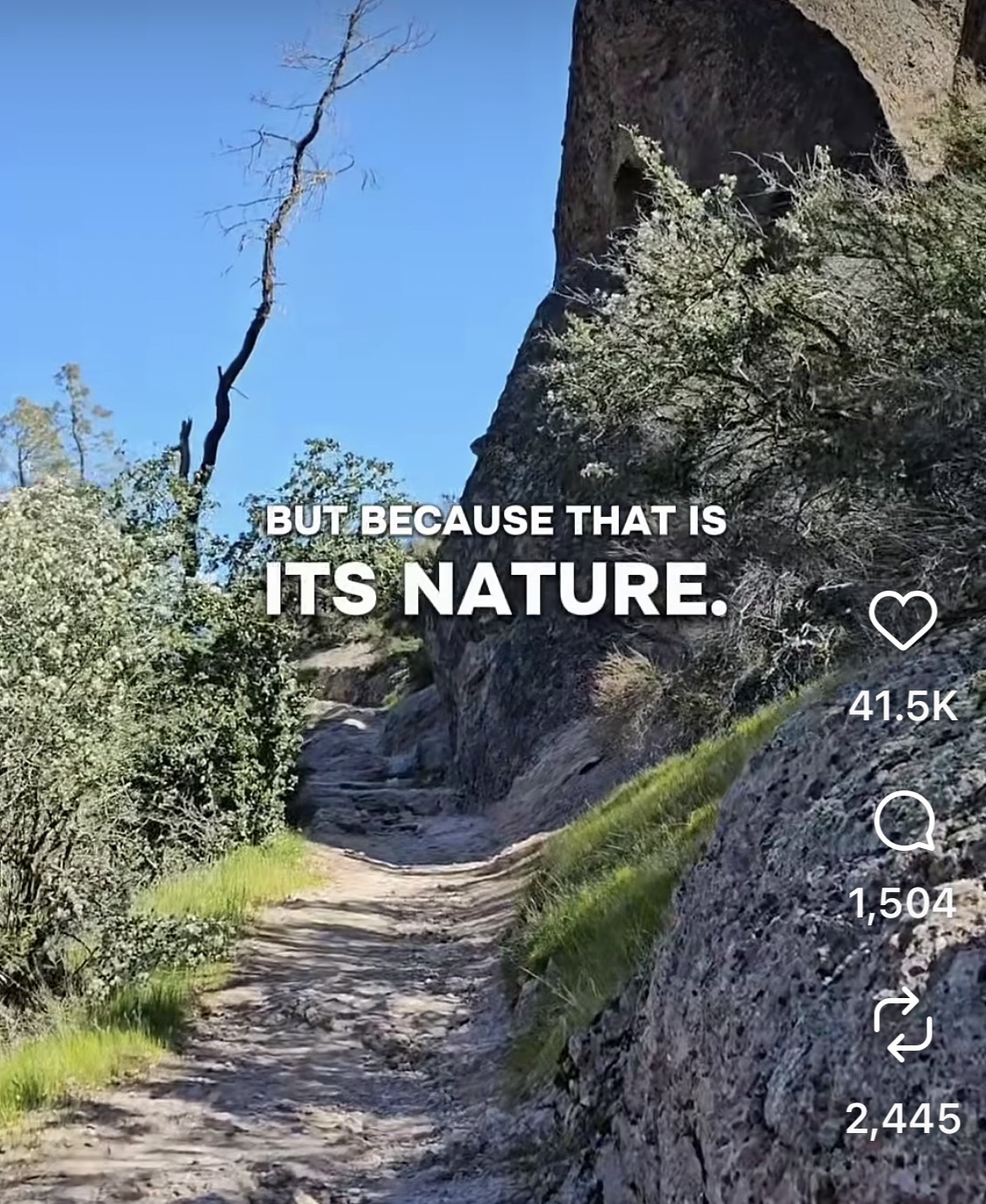 Instagram Reel thumbnail